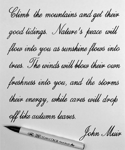 Muir Quote Zig Clean Color Real Brush Pen    &#169;  All Rights Reserved