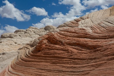 ZY9A6001  Brain Rock and Striped Sandstone  &#169;  All Rights Reserved