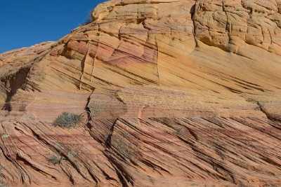 ZY9A6093  Colorful Jurassic Navajo Sandstone  &#169;  All Rights Reserved