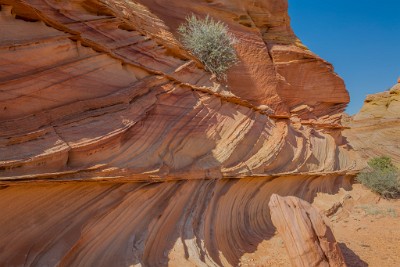 ZY9A6100  Eroded Rock Fins  &#169;  All Rights Reserved