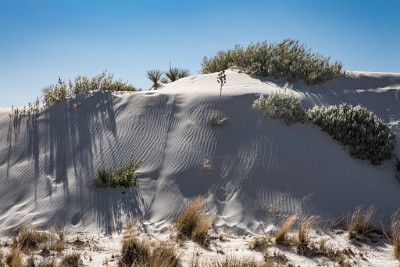 ZY9A1811  Interdune boardwalk scenery  &#169;  All Rights Reserved