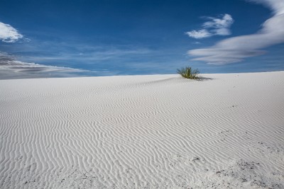 ZY9A1945  Sand ripples after days of high winds  &#169;  All Rights Reserved