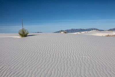 White Sands National Monument