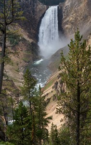 IF8X3313  Lower Falls of the Yellowstone River from Lower Lookout Point  &#169;  All Rights Reserved