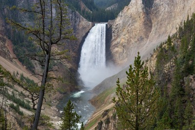 IF8X3320  Lower Falls of the Yellowstone River  &#169;  All Rights Reserved