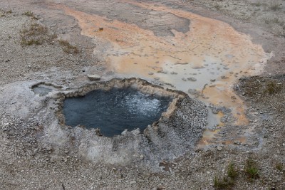 IF8X3326  Chinese Spring in the Upper Geyser Basin  &#169;  All Rights Reserved
