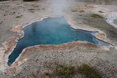 IF8X3327  Steaming Hot Spring on the Upper Geyser Basin Trail  &#169;  All Rights Reserved