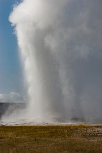 IF8X3330  Old Faithful  &#169;  All Rights Reserved