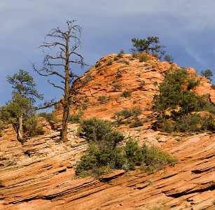IF8X3997  Eroded Navajo Sandstone  &#169;  All Rights Reserved
