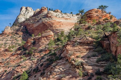 IF8X4012  A typical Zion landscape on the Zion - Mount Carmel Highway  &#169;  All Rights Reserved