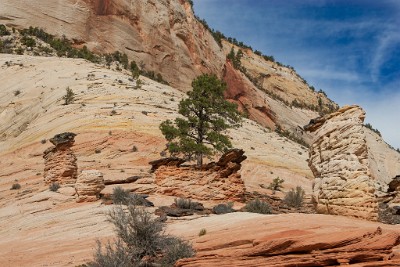 IF8X4018  Hoodoos near Checkerboard Mesa  &#169;  All Rights Reserved