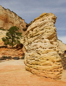 IF8X4020  Hoodoos  on the East Side of Zion  &#169;  All Rights Reserved