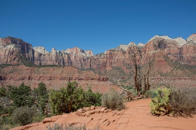 ZY9A4996  Top of the Watchman Trail  &#169;  All Rights Reserved