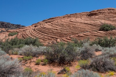 ZY9A5138  Galoot Hill in Snow Canyon State Park  &#169;  All Rights Reserved